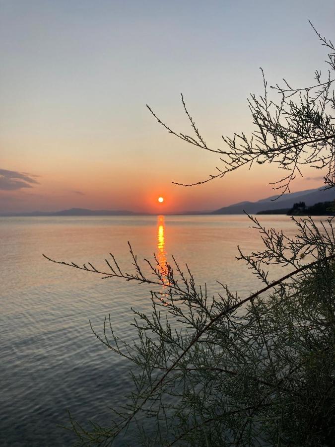 Grand Boutique Studios Άφησσος Εξωτερικό φωτογραφία